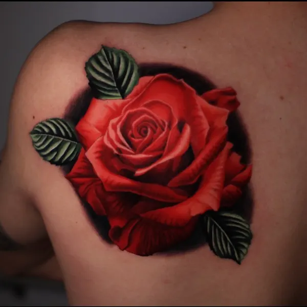 Flower, Rose, Nature