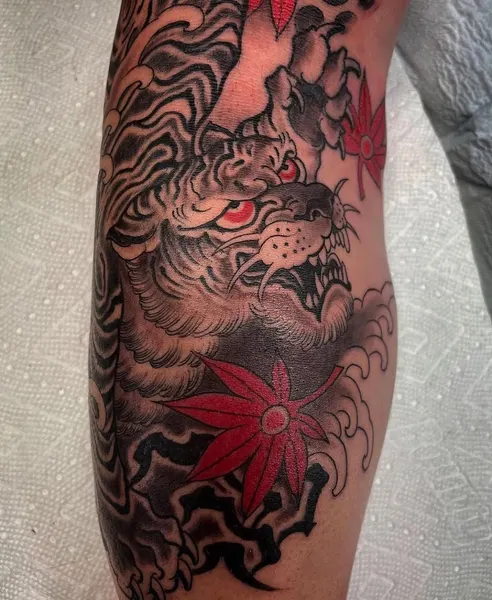 Dragon, 일본 단풍