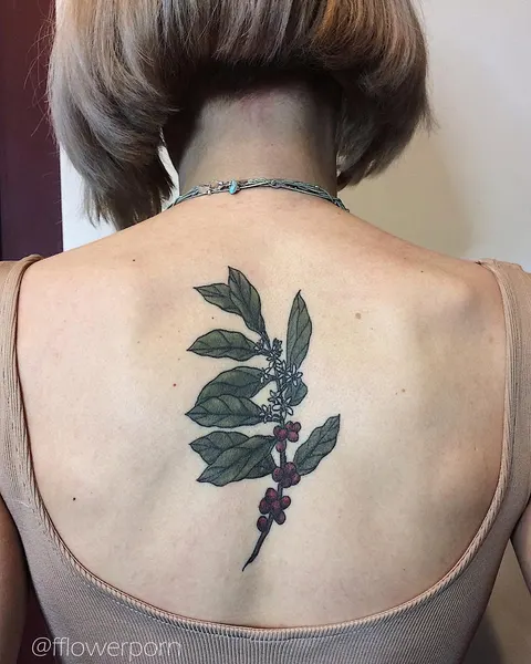 Flower, Nature, Rose