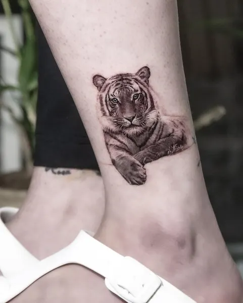 Tiger, 중국 호랑이, 치타, 재규어
