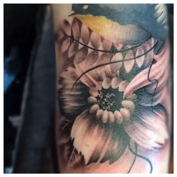 Flower, Rose