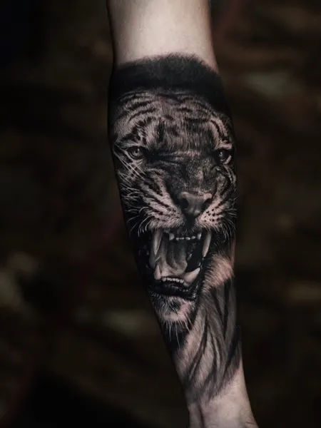 Animal, Nature