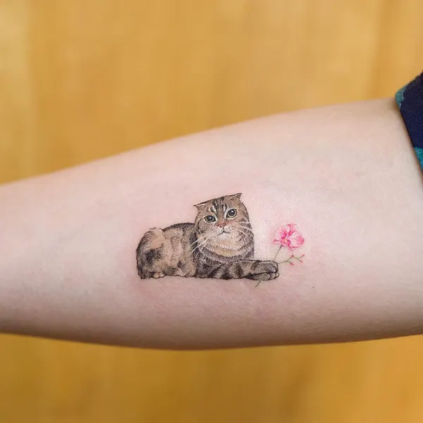 soltattoo