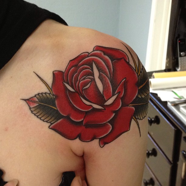 Flower, Rose, Nature