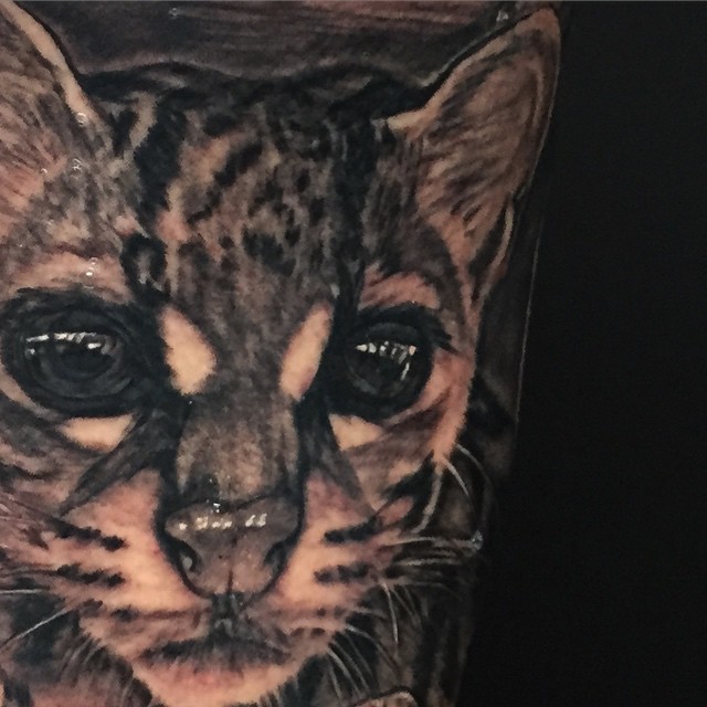 Tiger, 팬서