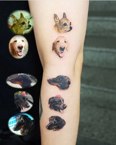 Animal, 반려동물 추모