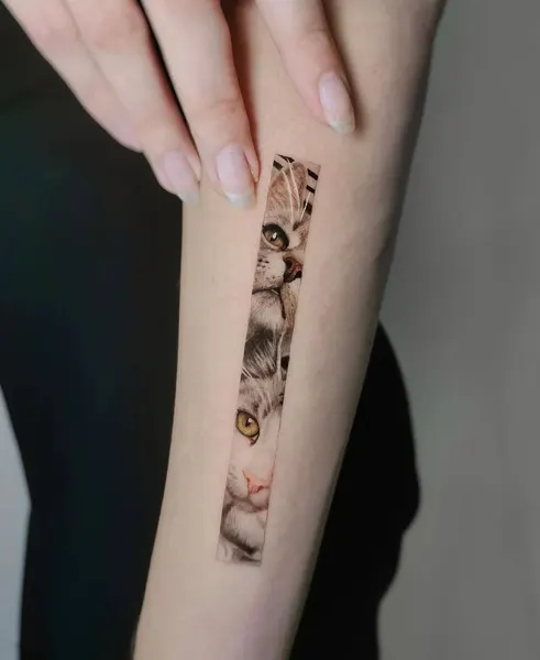 너구리, 다람쥐, 여우 가면, Animal