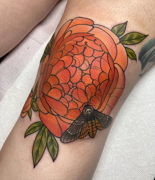 목련, Flower, Rose