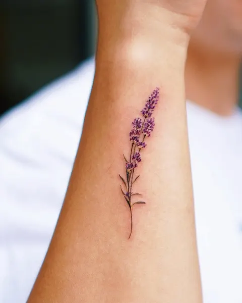 Flower, 라벤더, 야생화