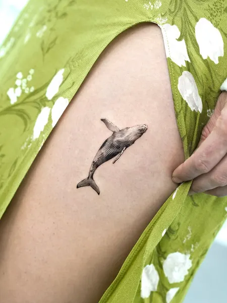 상어, 고래, 돌고래, 물고기, Animal, 함사