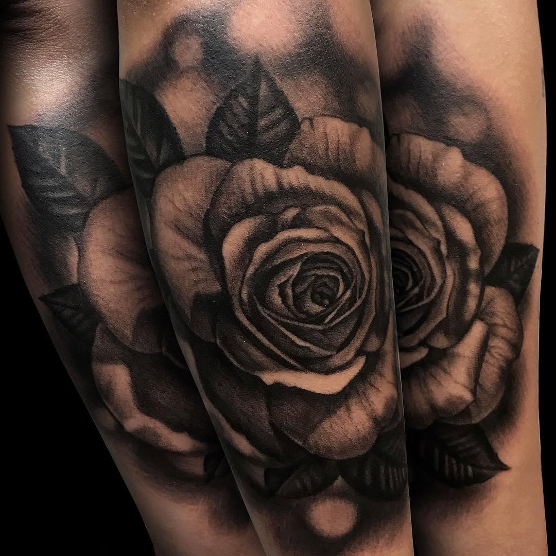 Flower, Rose