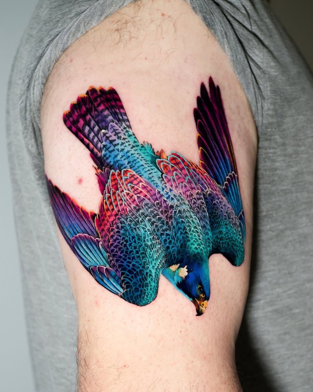 Animal, 공작, 앵무새, 벌새