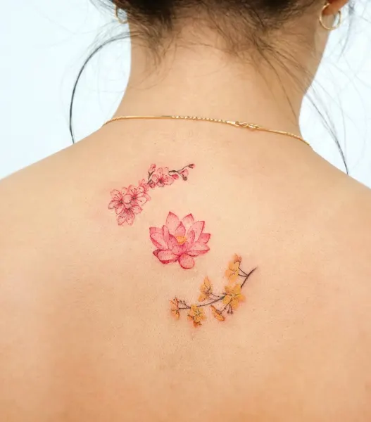 Flower, 연꽃, 한국 연꽃, 연꽃 만다라, 연꽃 문양