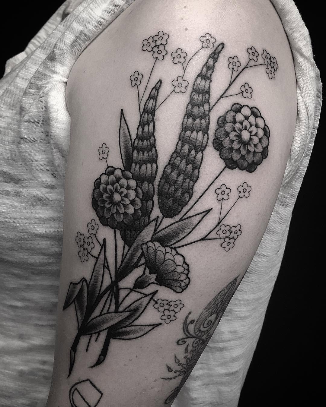 Rose, Flower, 선인장