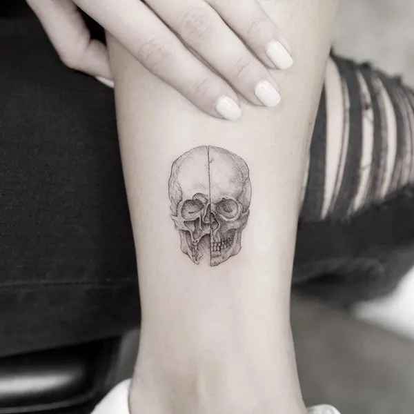 Skull