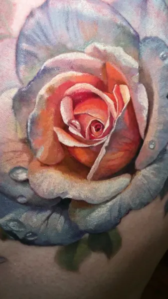Flower, Rose
