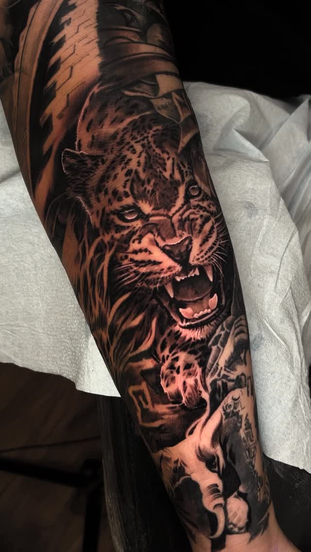 Animal, Tiger
