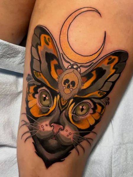 Animal, Tiger