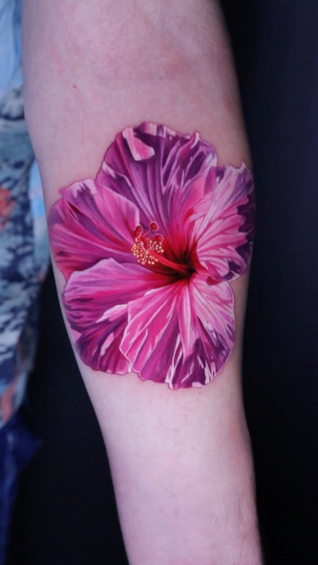 Flower, Nature, 양귀비, 히비스커스