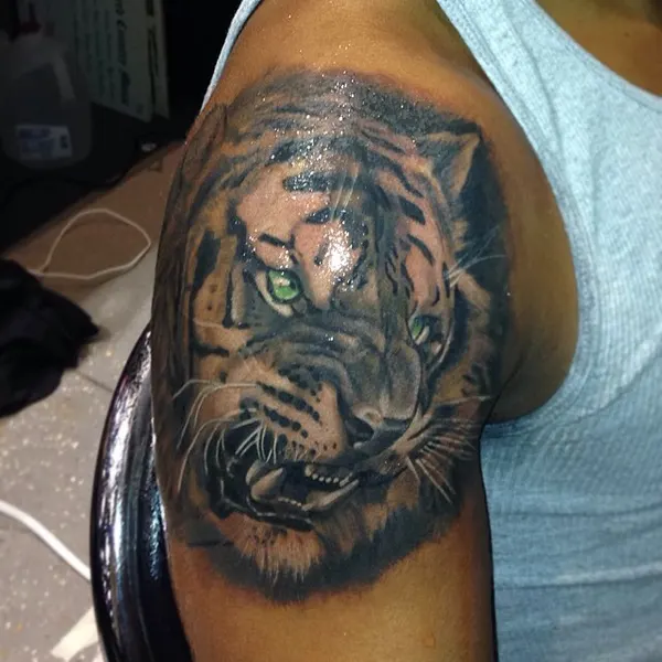 Tiger