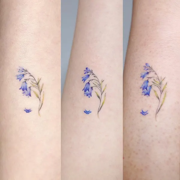 Flower, 라벤더