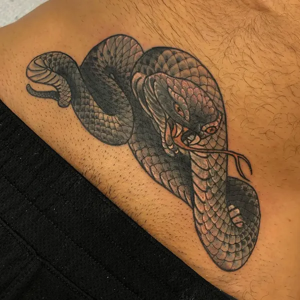 Dragon, Snake