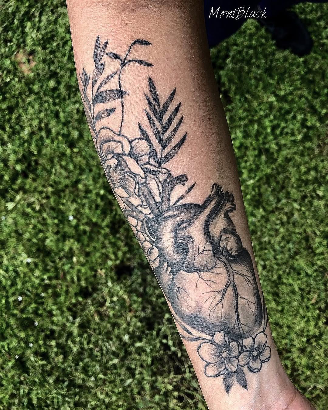 Flower, Rose, 풀, 허브, 고사리