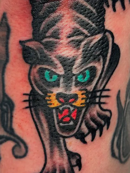 Animal, Tiger