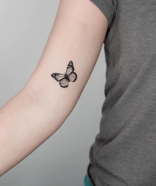 Flower, Rose, 잎, 단풍잎, 은행잎