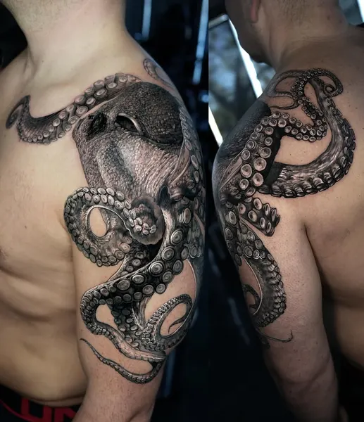 Animal