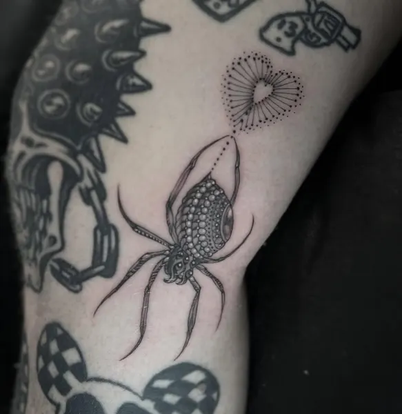 Animal, 거미
