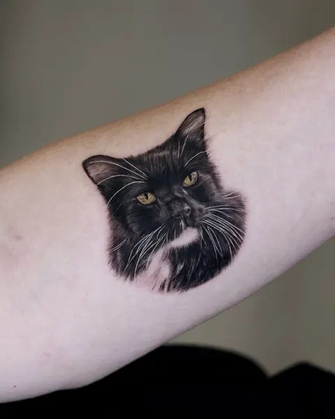 Animal
