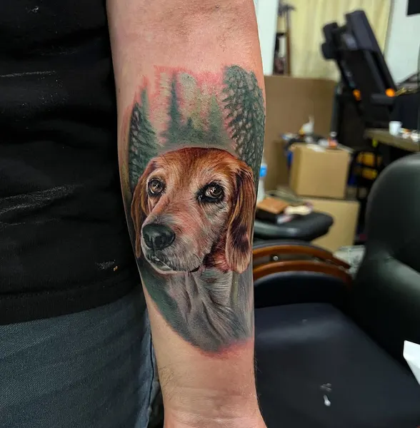 Animal