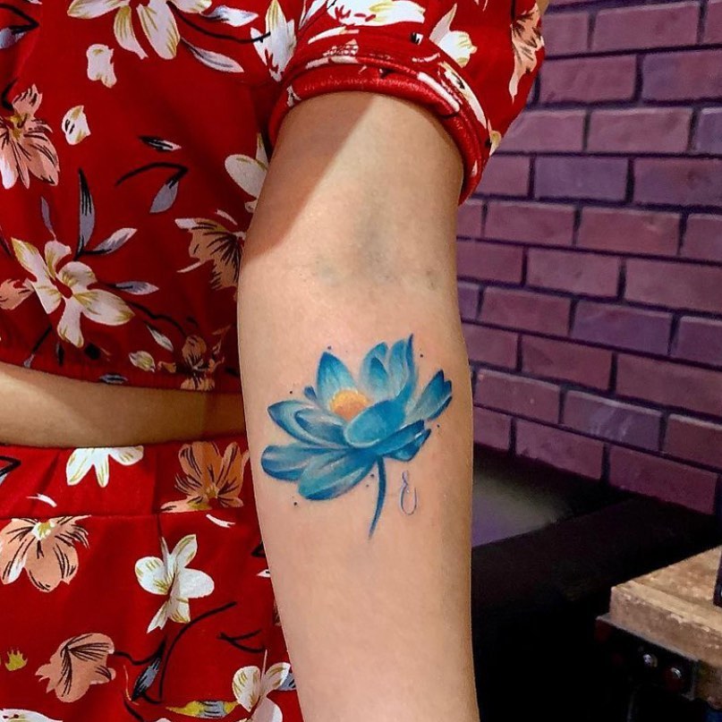 Flower, Rose, 목련, 연꽃