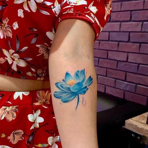 Flower, Rose, 목련, 연꽃