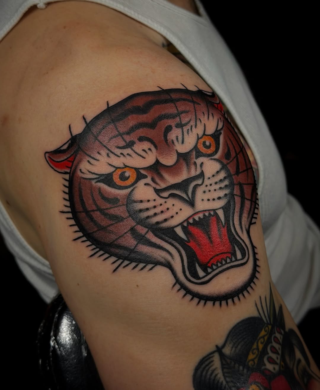 Tiger, Animal, 재규어, 일본 호랑이, 중국 호랑이, 한국 호랑이