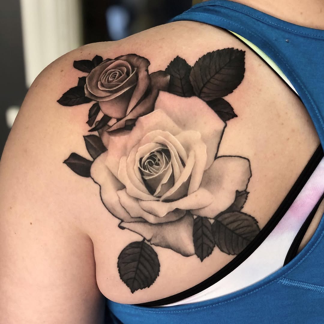 Flower, Rose, Nature