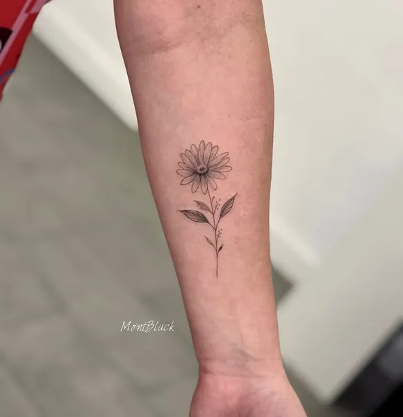 Flower, Rose, 민들레, 뿌리, 나뭇가지, Nature
