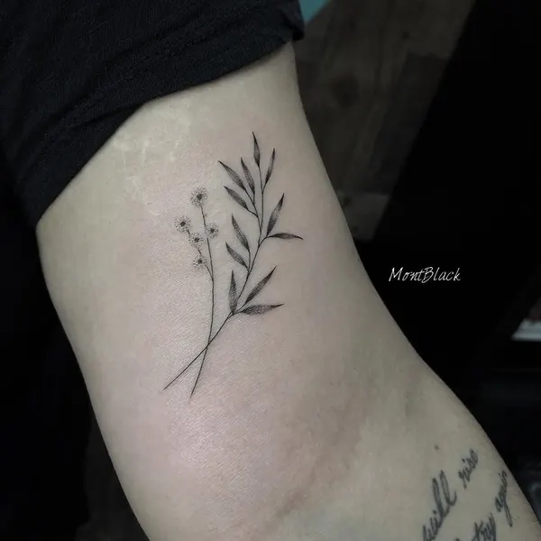 Lettering, 올리브 가지