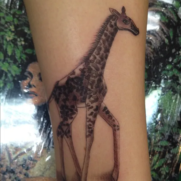 Animal