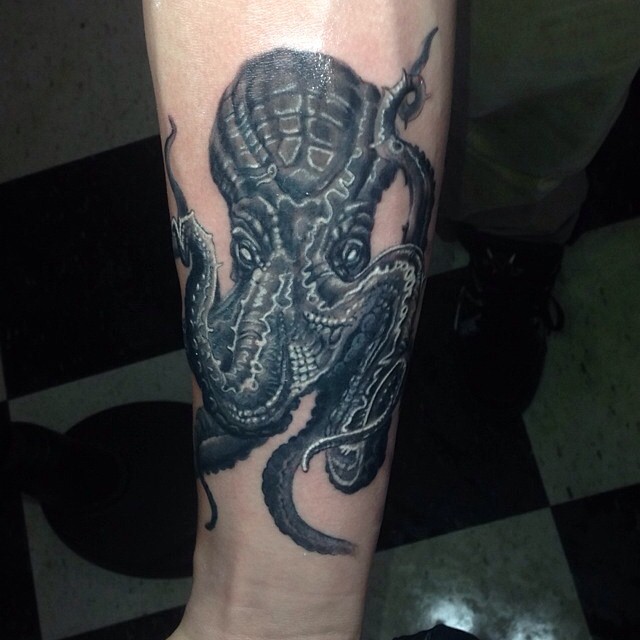 Animal, Dragon, 크라켄