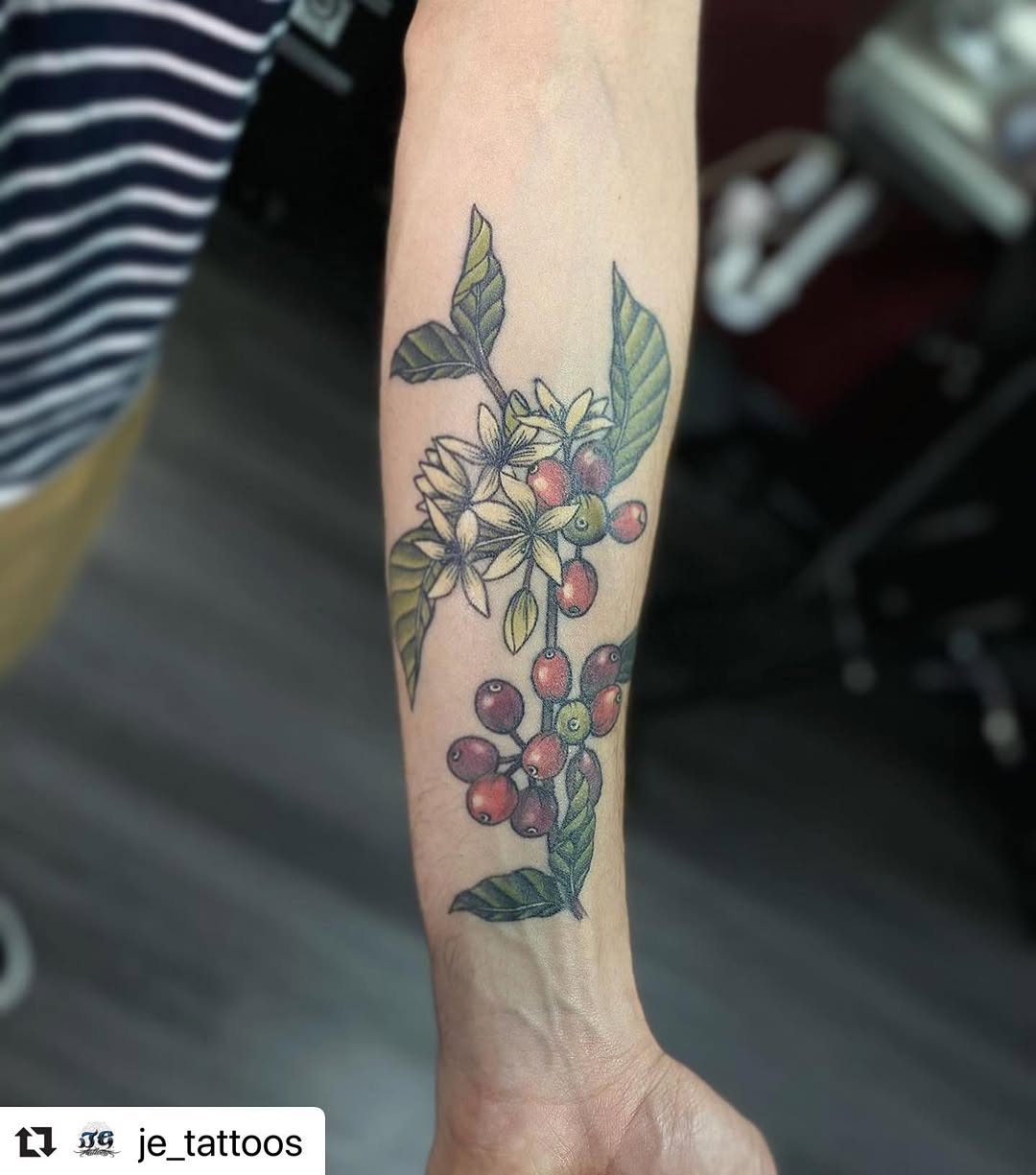 Flower, 올리브 가지, 포도