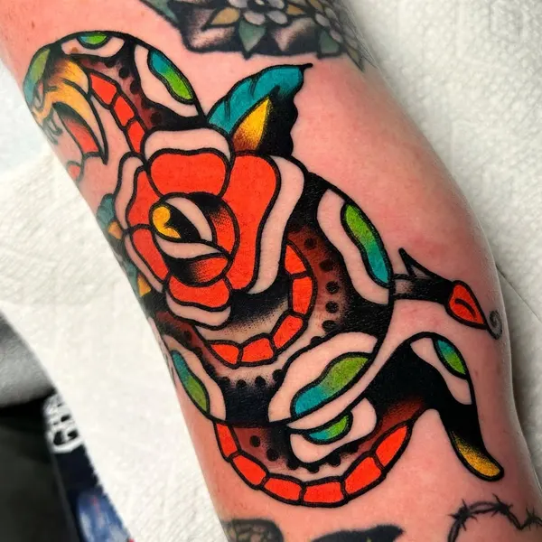 Dragon, Snake