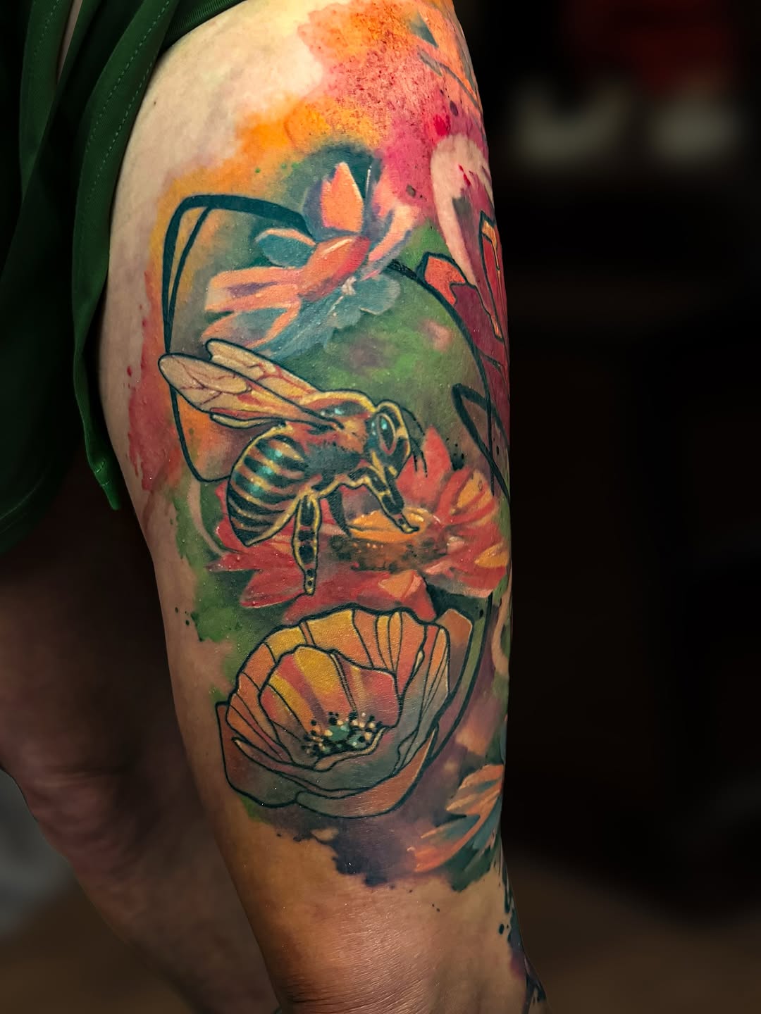 Animal, Flower, Rose