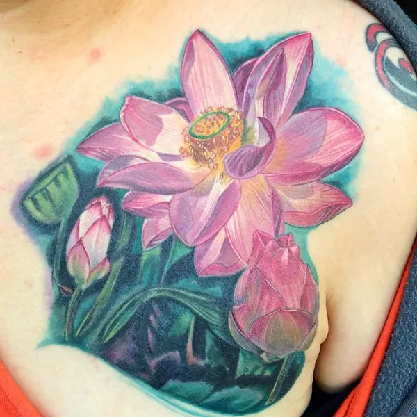 Flower, 백합, 튤립