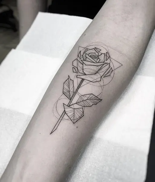 Flower, Rose