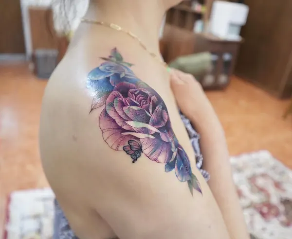Flower, Rose, 모란