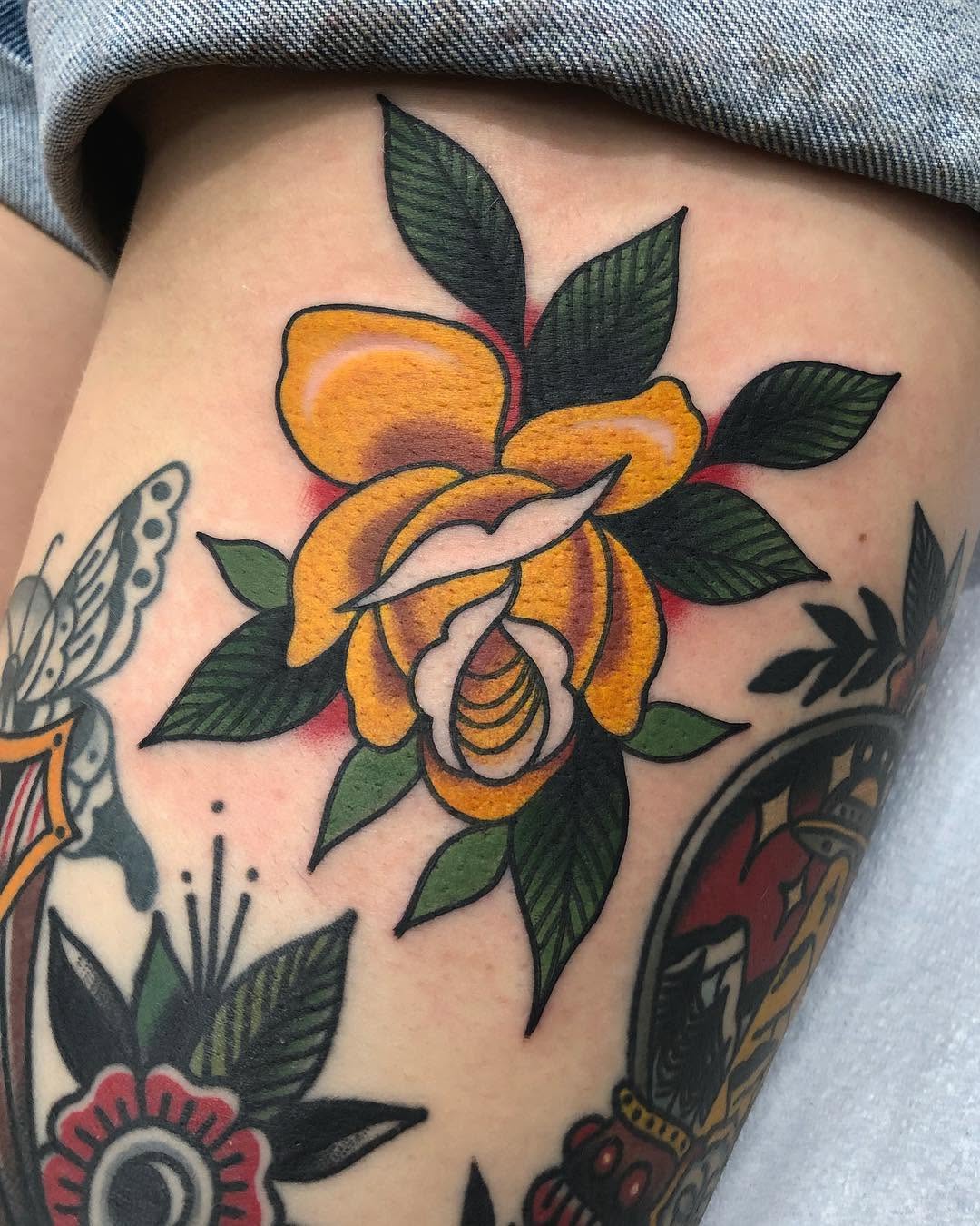 Flower, Rose