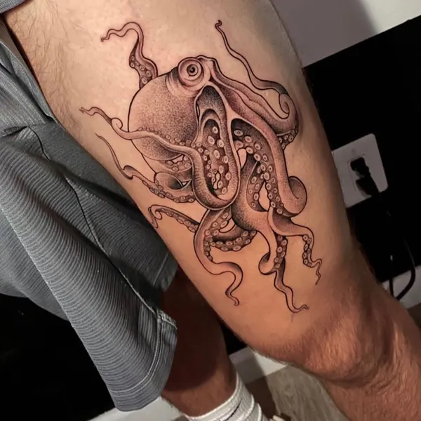 Animal, 문어, 오징어, 크라켄