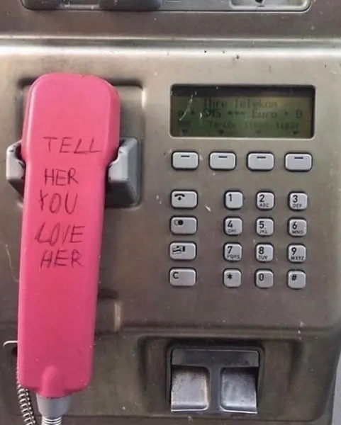 별들